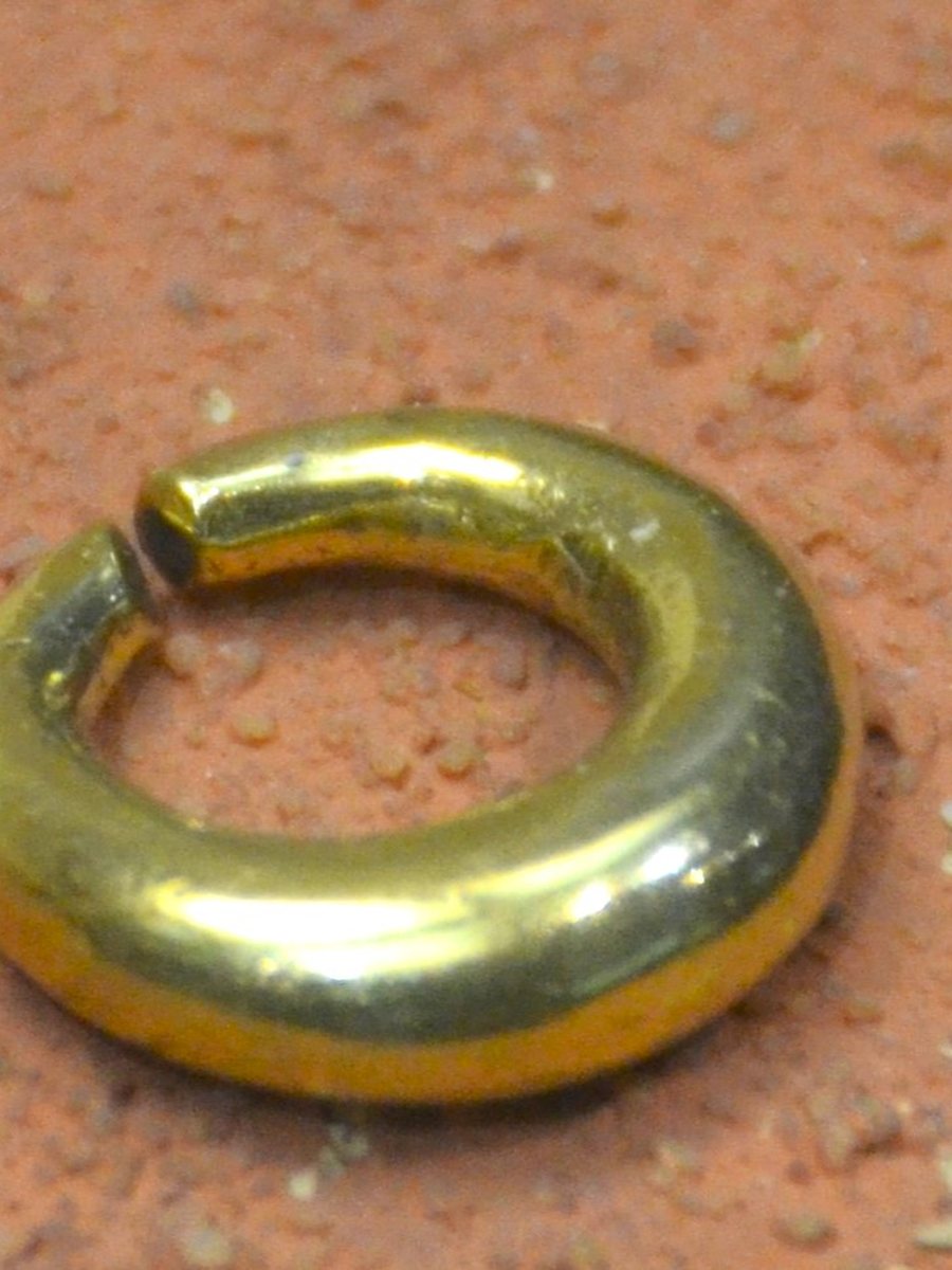 Gold Hoop Earrings in Gold